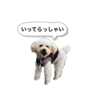 ロンちゃんの日常2024ver（個別スタンプ：15）