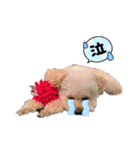 ロンちゃんの日常2024ver（個別スタンプ：31）