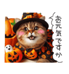 茶色トラ縞柄にゃんこの秋/ハロウィン（個別スタンプ：5）