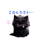 モフ猫さんたち（個別スタンプ：3）