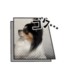 らくらん（個別スタンプ：12）