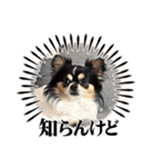 らくらん（個別スタンプ：18）