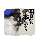 らくらん（個別スタンプ：26）
