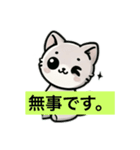 ねこの感謝と連絡（個別スタンプ：1）