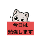 ねこの感謝と連絡（個別スタンプ：16）