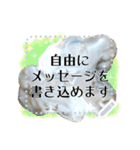 書き込める牡蠣フレーム★実写（個別スタンプ：9）