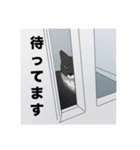 うち猫『うに太』（個別スタンプ：1）