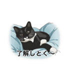 うち猫『うに太』（個別スタンプ：6）