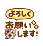 デカ文字♡にゃんこ（個別スタンプ：10）