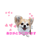 たまっこルビー（個別スタンプ：6）