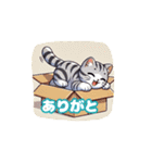 猫と過ごす日常2（個別スタンプ：24）