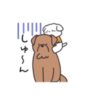 かまってほしい犬と猫（個別スタンプ：16）