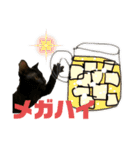 お酒とネコ好きな日常会話11（個別スタンプ：12）