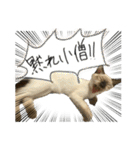 お酒とネコ好きな日常会話11（個別スタンプ：18）