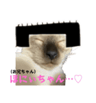 お酒とネコ好きな日常会話11（個別スタンプ：19）