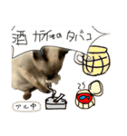 お酒とネコ好きな日常会話11（個別スタンプ：27）