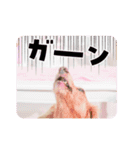 ぴーす王子とみるく姫。（個別スタンプ：10）