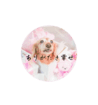 ぴーす王子とみるく姫。（個別スタンプ：16）