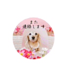 ぴーす王子とみるく姫。（個別スタンプ：31）