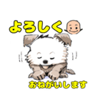 Y GENZA sticker 犬のクー君（個別スタンプ：4）