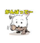 Y GENZA sticker 犬のクー君（個別スタンプ：10）