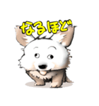 Y GENZA sticker 犬のクー君（個別スタンプ：11）