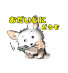 Y GENZA sticker 犬のクー君（個別スタンプ：15）