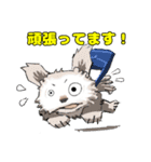 Y GENZA sticker 犬のクー君（個別スタンプ：18）