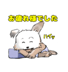 Y GENZA sticker 犬のクー君（個別スタンプ：20）