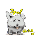 Y GENZA sticker 犬のクー君（個別スタンプ：24）