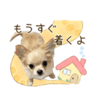 ちくわファミリー（個別スタンプ：14）