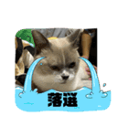 ちくわも一緒（個別スタンプ：7）