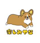 たぶん関西育ちな犬（個別スタンプ：4）