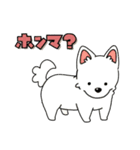 たぶん関西育ちな犬（個別スタンプ：13）