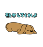 たぶん関西育ちな犬（個別スタンプ：28）