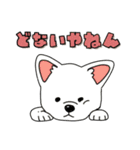 たぶん関西育ちな犬（個別スタンプ：31）