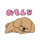 たぶん関西育ちな犬（個別スタンプ：33）