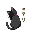 黒猫のくろちゃんだよ（個別スタンプ：5）