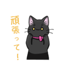 黒猫のくろちゃんだよ（個別スタンプ：9）