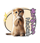 リアルシリーズ＃子猫1【敬語・仕事】（個別スタンプ：3）