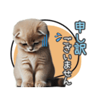 リアルシリーズ＃子猫1【敬語・仕事】（個別スタンプ：5）