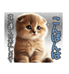 リアルシリーズ＃子猫1【敬語・仕事】（個別スタンプ：8）