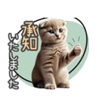 リアルシリーズ＃子猫1【敬語・仕事】（個別スタンプ：11）