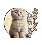 リアルシリーズ＃子猫1【敬語・仕事】（個別スタンプ：13）