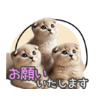 リアルシリーズ＃子猫1【敬語・仕事】（個別スタンプ：14）