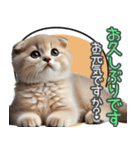 リアルシリーズ＃子猫1【敬語・仕事】（個別スタンプ：19）