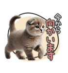 リアルシリーズ＃子猫1【敬語・仕事】（個別スタンプ：26）