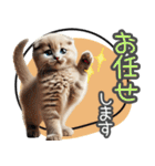 リアルシリーズ＃子猫1【敬語・仕事】（個別スタンプ：35）