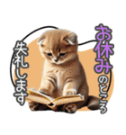 リアルシリーズ＃子猫1【敬語・仕事】（個別スタンプ：36）