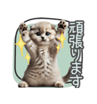 リアルシリーズ＃子猫1【敬語・仕事】（個別スタンプ：37）